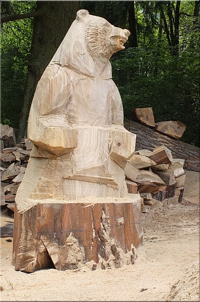 grizzly  b�r holzwerker jochen adam schnitzen mit der motors�ge